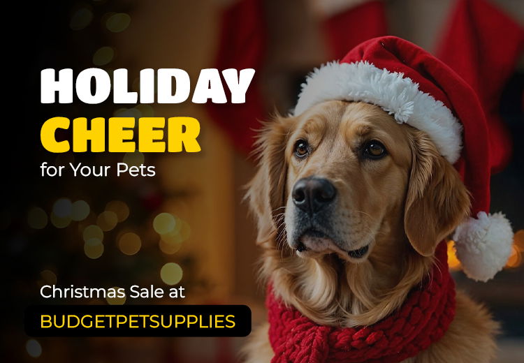 Christmas Sale at BudgetPetSupplies